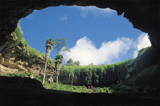 Umpherston Sinkhole in Mount Gambier. (C) www.greatoceanroad.info.