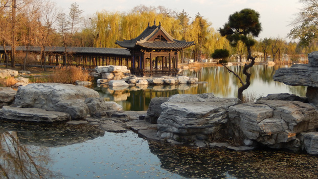 Jin-Ci-Park, N37.703984 E112.441197.