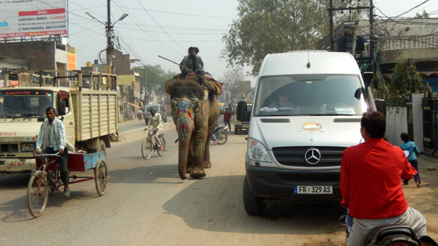 Elefanten gehören zum alltäglichen Straßenbild.
