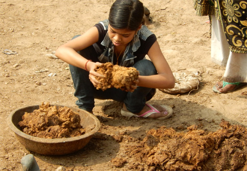 Bovine Exkremente werden mit Stroh vermengt und zu tellerförmigen Heizbriketts verarbeitet.