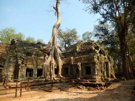 Ta Prohm.