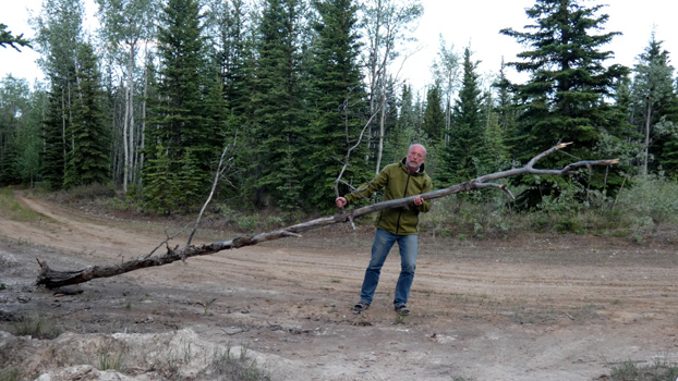 Ich sammle Feuerholz.