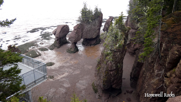 Die Hopewell Rocks an der Bay of Fundy.