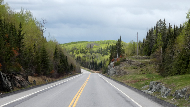 Die Laubbäume haben endlich Blätter und sind hellgrün.