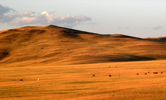 Landschaft an der mongolischen Grenze.