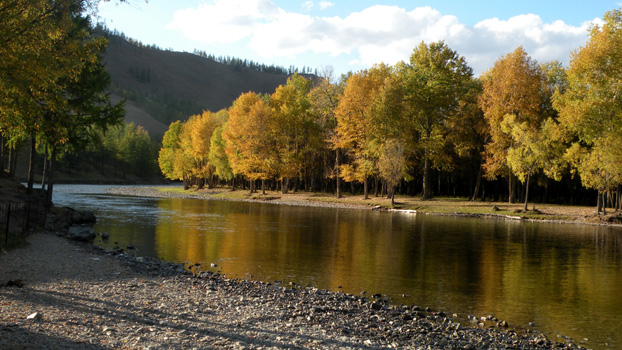 Herbst im Gorkhi-Terelj-Nationalpark, N47 59.471 E107 27.646.