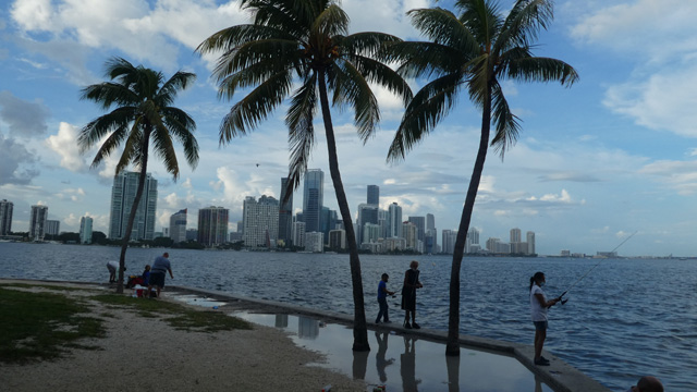 Nochmals die Skyline von Miami.