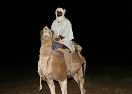 Der Beduine sucht eines seiner Kamele.