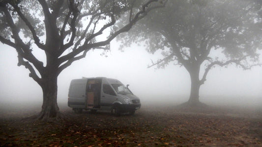 Morgennebel.